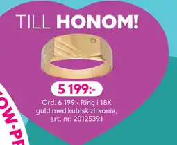 Albrekts Guld Ring i 18K guld med kubisk zirkonia erbjuda