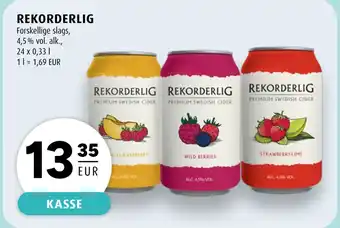 Scandinavian Park REKORDERLIG erbjuda