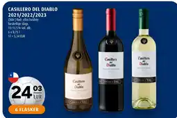 Scandinavian Park CASILLERO DEL DIABLO 2021/2022/2023 erbjuda