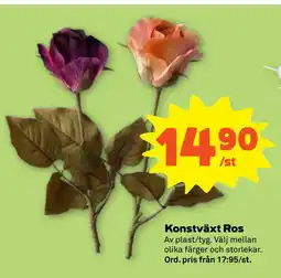 Stora Coop Konstväxt Ros erbjuda