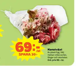 Stora Coop Konstväxt erbjuda