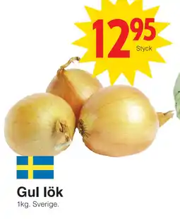 Matöppet Gul lök erbjuda