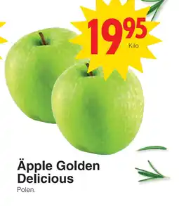 Matöppet Äpple Golden Delicious erbjuda