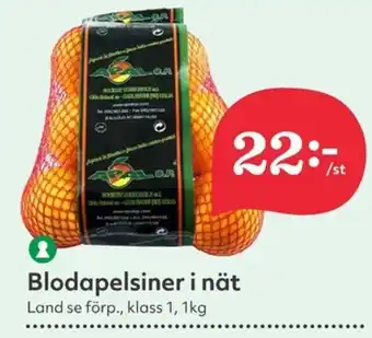 Hemköp Blodapelsiner i nät erbjuda