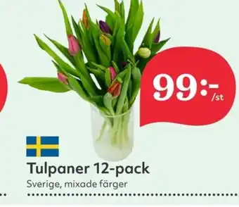 Hemköp Tulpaner 12-pack erbjuda