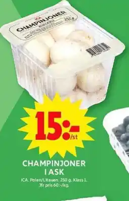 ICA Maxi Champinjoner erbjuda