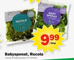 Pekås Babyspenat, Rucola erbjuda