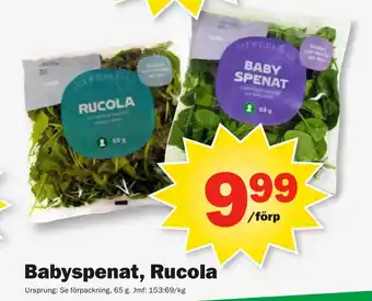 Pekås Babyspenat, Rucola erbjuda