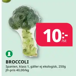 Tempo BROCCOLI erbjuda