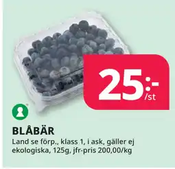 Tempo BLÅBÄR erbjuda