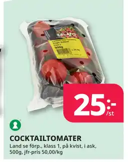 Tempo COCKTAILTOMATER erbjuda