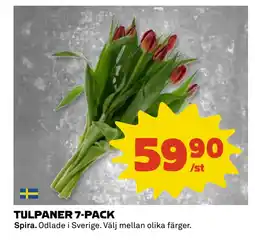 Coop Daglivs TULPANER 7-PACK erbjuda