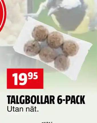 Bauhaus TALGBOLLAR 6-PACK erbjuda