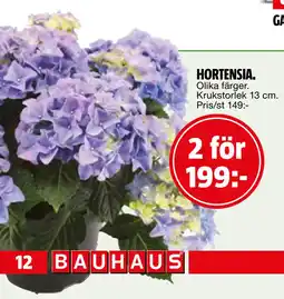 Bauhaus HORTENSIA erbjuda