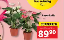 Lidl Rosenkalla erbjuda