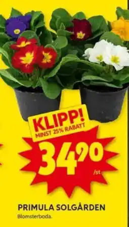 ICA Kvantum Primula solgården erbjuda