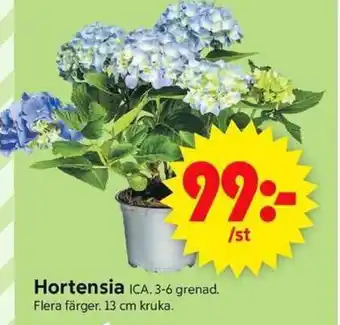 ICA Supermarket Hortensia erbjuda