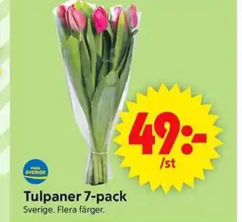 ICA Supermarket Tulpaner 7-pack erbjuda