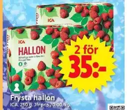 ICA Supermarket Frysta hallon erbjuda