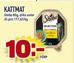 Supergrossen KATTMAT erbjuda