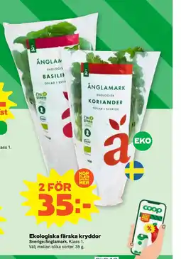 Stora Coop Ekologiska färska kryddor erbjuda