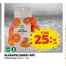 Coop Daglivs Blodapelsiner i nät erbjuda