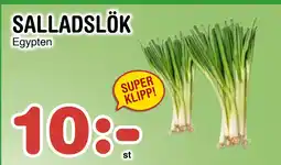 Nya Pulsen SALLADSLÖK erbjuda