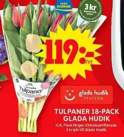 ICA Maxi ICA Tulpaner Glada hudik erbjuda