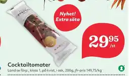 Cocktailtomater