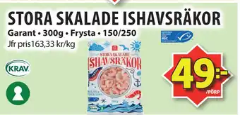 Matvärlden Tensta STORA SKALADE ISHAVSRÄKOR erbjuda