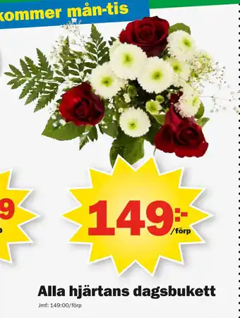 Pekås Alla hjärtans dagsbukett erbjuda