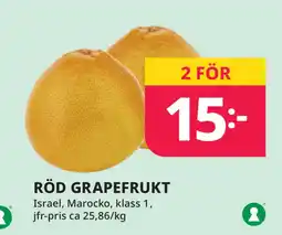 Tempo RÖD GRAPEFRUKT erbjuda