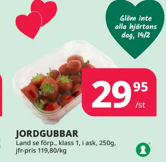 Tempo JORDGUBBAR erbjuda