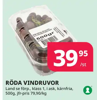 Tempo RÖDA VINDRUVOR erbjuda