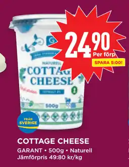 COTTAGE CHEESE