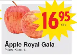 Matöppet Äpple Royal Gala erbjuda