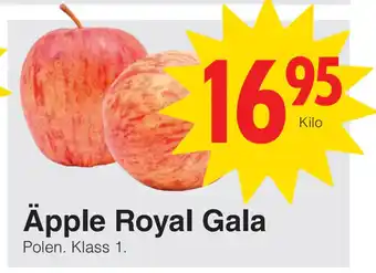 Matöppet Äpple Royal Gala erbjuda