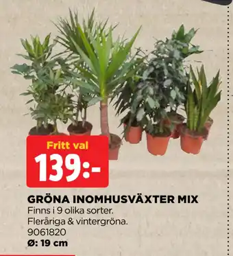 Jem&Fix GRÖNA INOMHUSVÄXTER MIX erbjuda