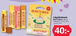 DollarStore Läppbalsam Burt's Bees, per st erbjuda