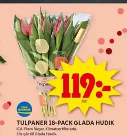 ICA Kvantum Tulpaner 18-pack glada hudik erbjuda