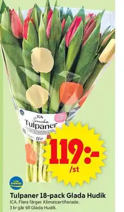 ICA Supermarket Tulpaner 18-pack Glada Hudik erbjuda