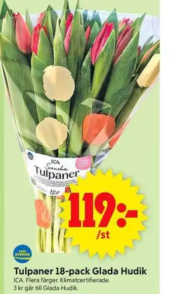 ICA Supermarket Tulpaner 18-pack Glada Hudik erbjuda