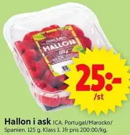 ICA Supermarket Hallon i ask ICA. erbjuda