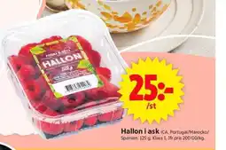 ICA Supermarket Hallon i ask erbjuda