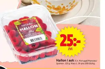 ICA Supermarket Hallon i ask erbjuda