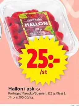 ICA Supermarket Hallon i ask ICA. erbjuda