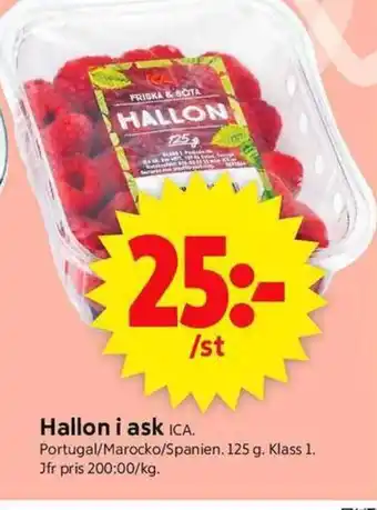 ICA Supermarket Hallon i ask ICA. erbjuda