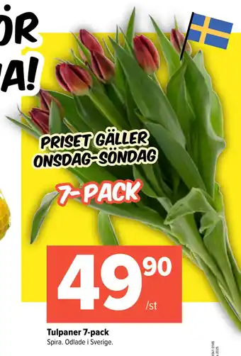 Coop Extra Tulpaner 7-pack erbjuda