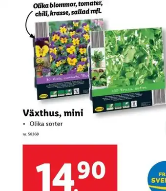 Lidl Växthus, mini erbjuda