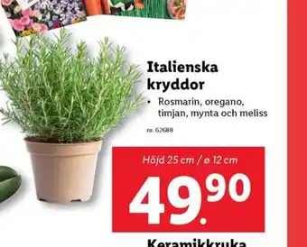 Lidl Italienska kryddor erbjuda